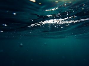 sous la surface de l'eau